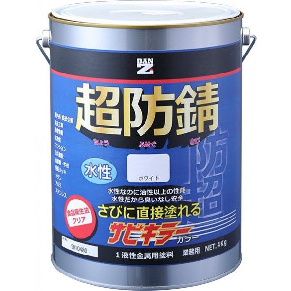 BAN-ZI サビキラーカラ― 1缶