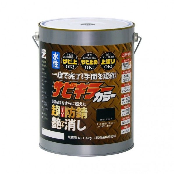 BAN-ZI サビキラーカラ―艶消し 1缶
